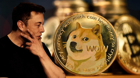 DogeBank：加密金融领域的实力新贵